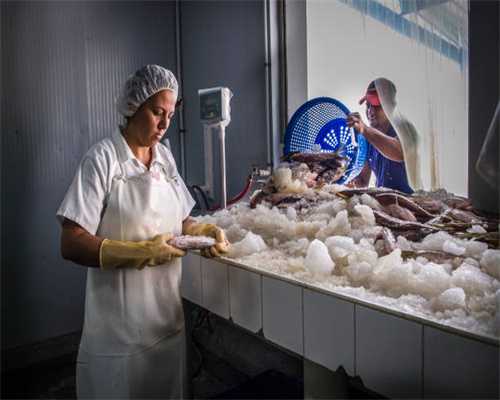 做孕检可以吃早餐吗