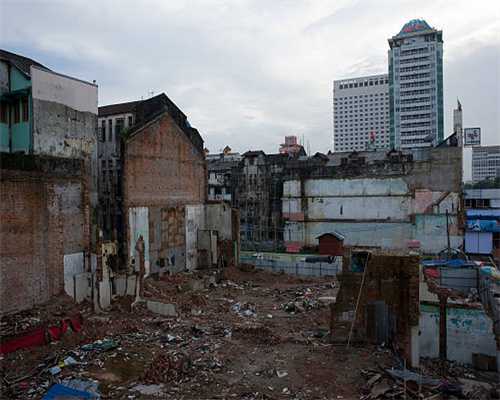 实验进行中：猪肾脏首次在人体内工作32天，异种移植或有新纪录