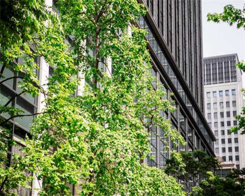 amh值多少为卵巢早衰，amh值低还能自然怀孕吗