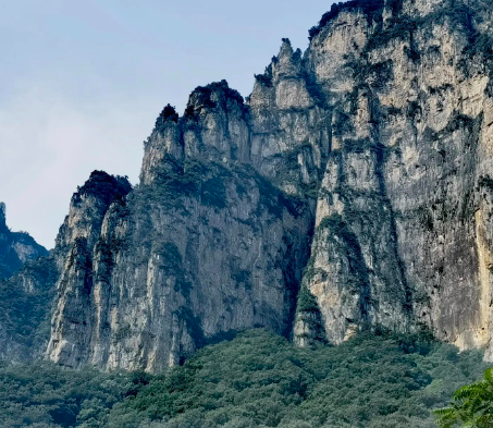 子宫畸形患者可以做试管婴儿吗？