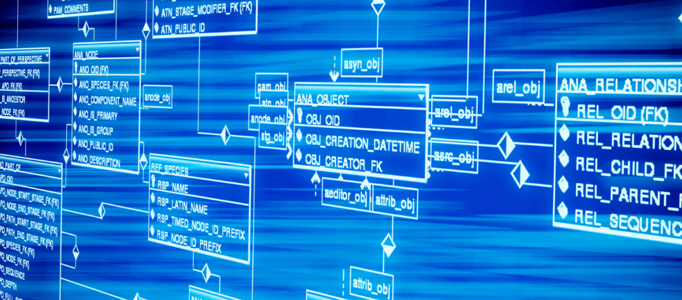 试管龙凤胎的概率是多少